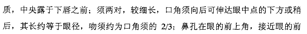 云南光唇鱼特征1.jpg