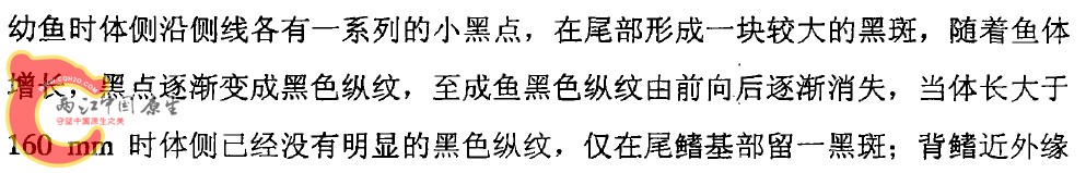 云南光唇鱼特征2.jpg