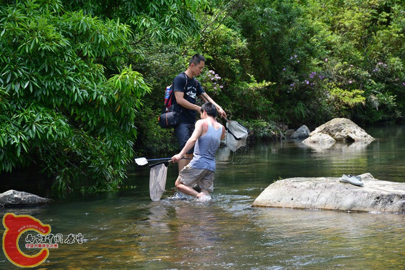 DSC_1894.JPG
