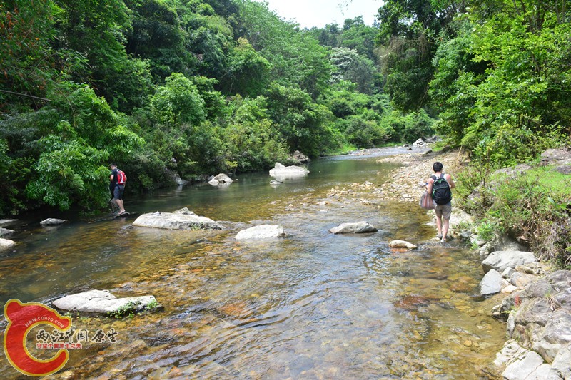 DSC_1903.JPG