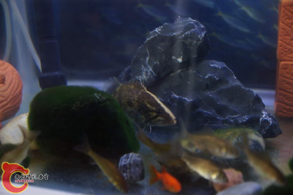 DSC00420_调整大小.JPG