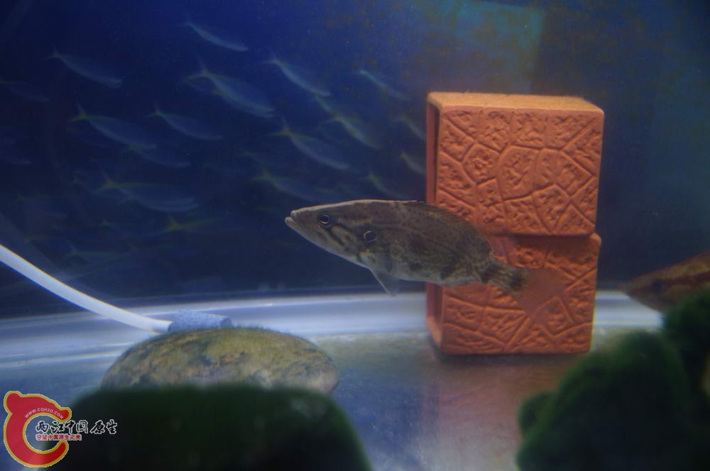 DSC00513_调整大小.JPG