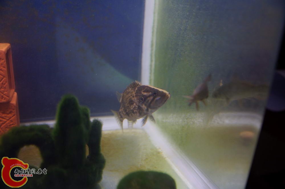 DSC00520_调整大小.JPG