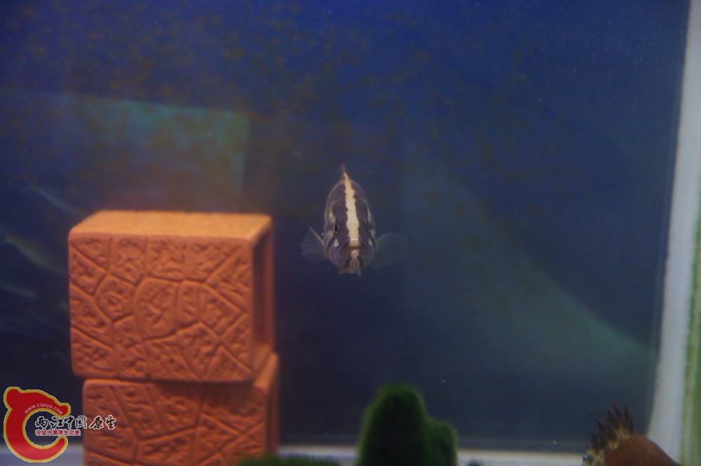 DSC00542_调整大小.JPG