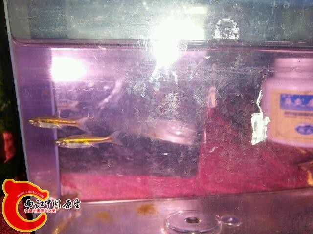 IMG20160515194748.jpg