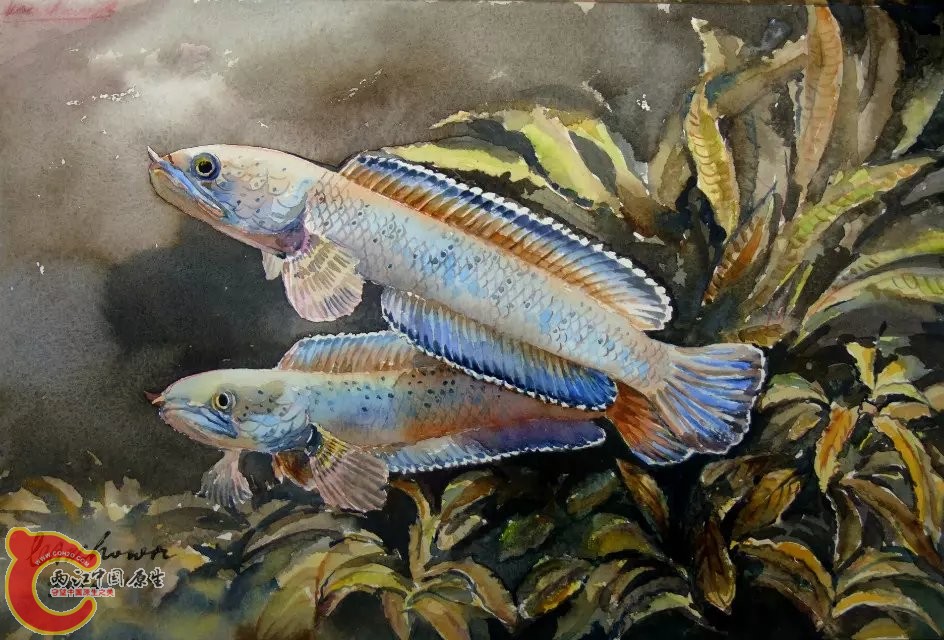 psbCAU5EXX0.jpg