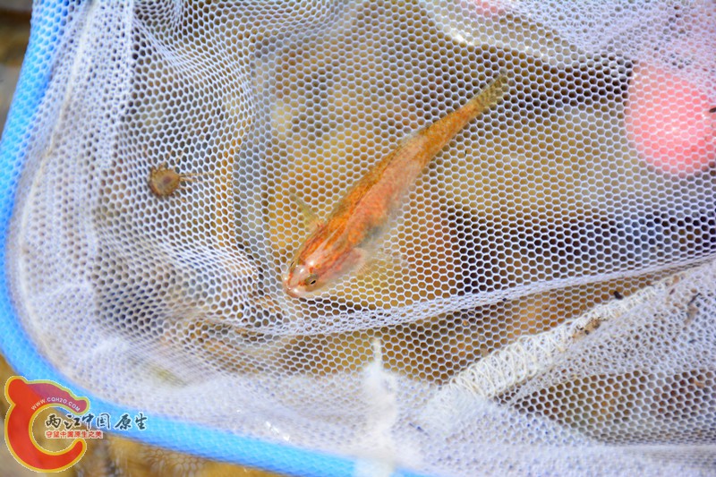 DSC_1852.JPG