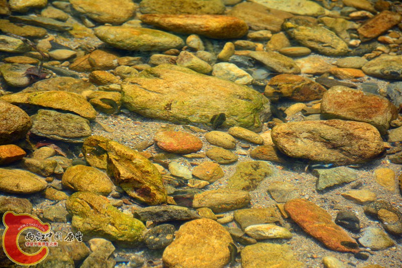 DSC_1871.JPG