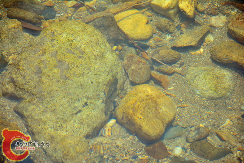 DSC_1873.JPG