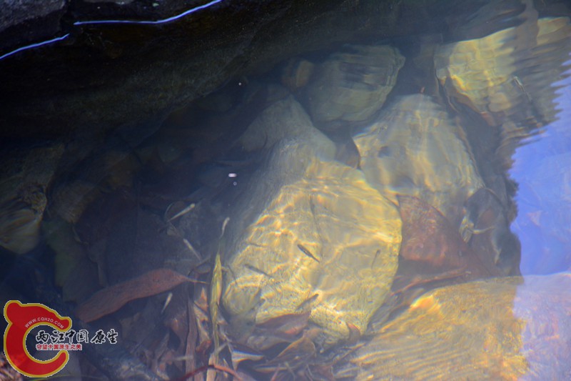 DSC_1875.JPG