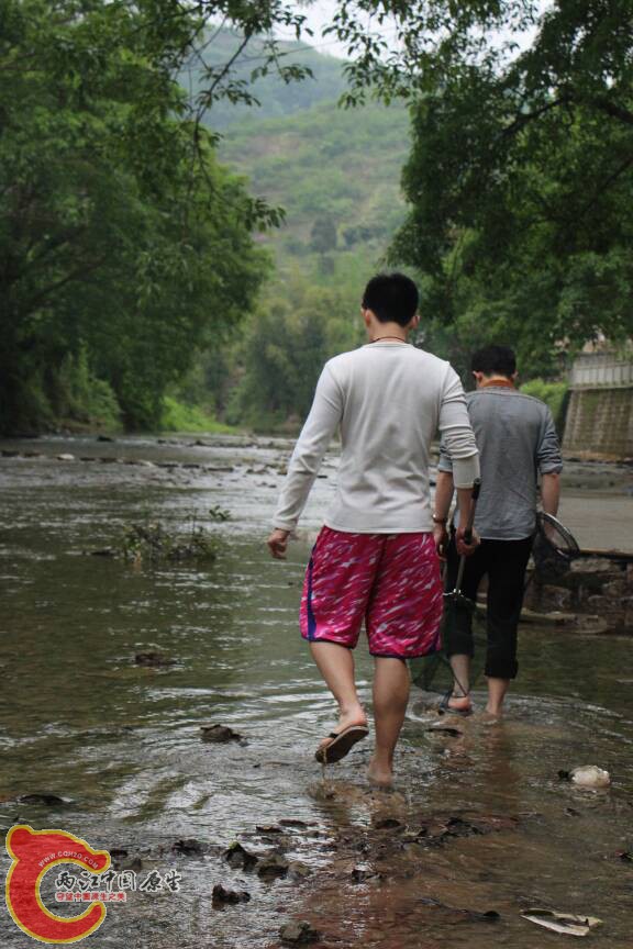 085136aw91c18vppn8bvdb.JPG