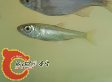 IMG_20160519_093651.jpg
