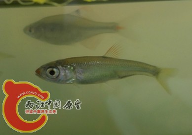 IMG_20160519_093531.jpg