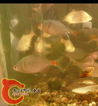搜狗截图20160521212811.png