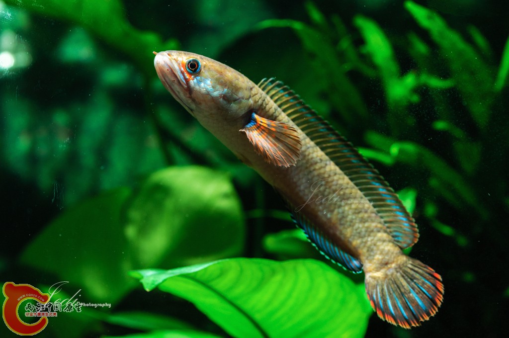 WD6_4607-编辑.jpg