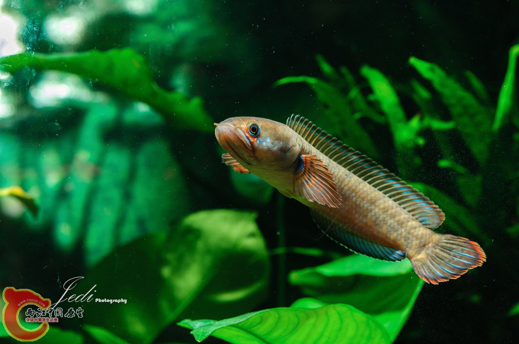 WD6_4606-编辑.jpg