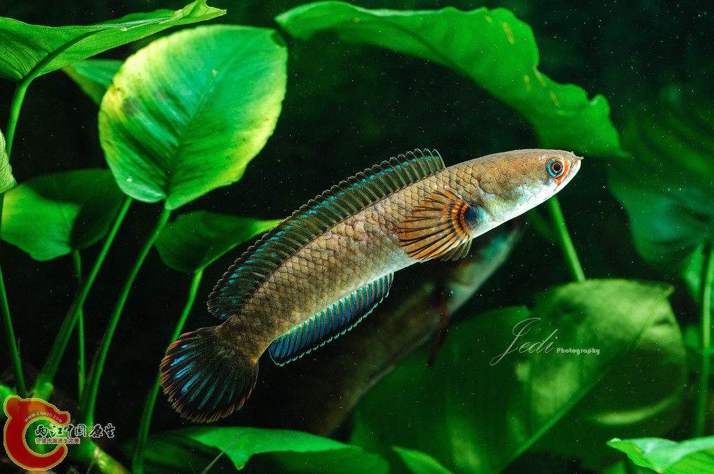 WD6_4611-编辑.jpg