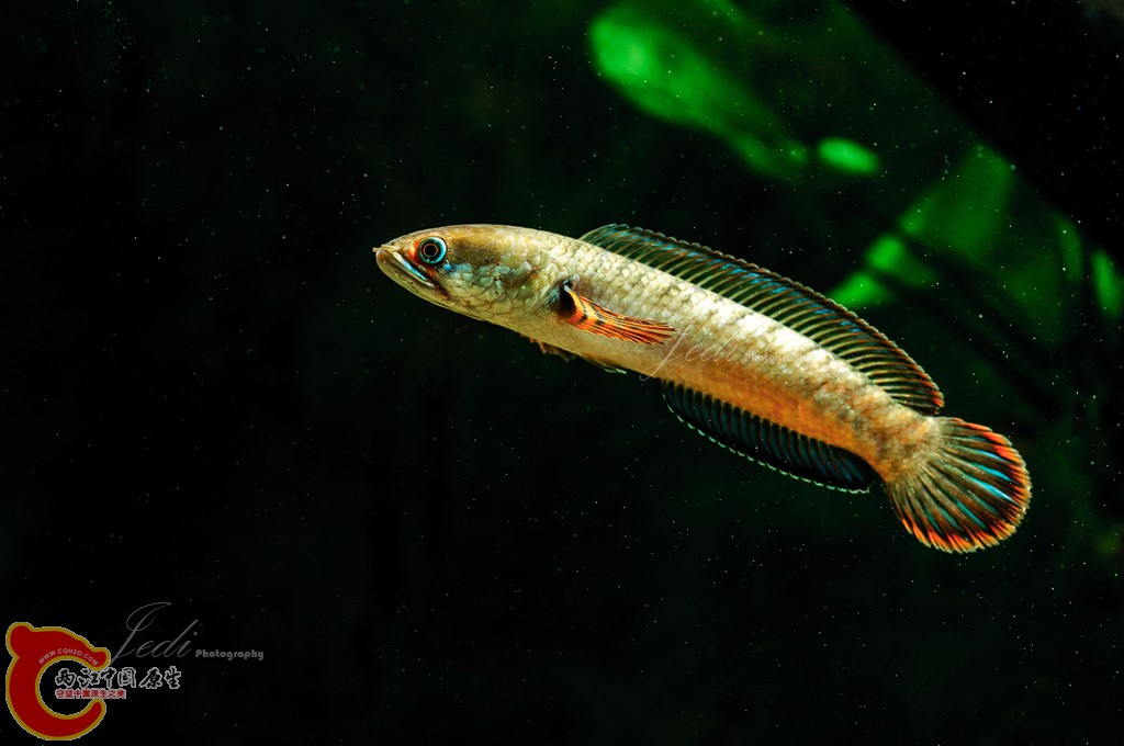 WD6_4616-编辑.jpg