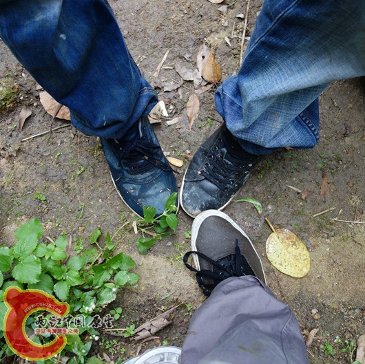 DSC00542_副本_副本_副本.jpg