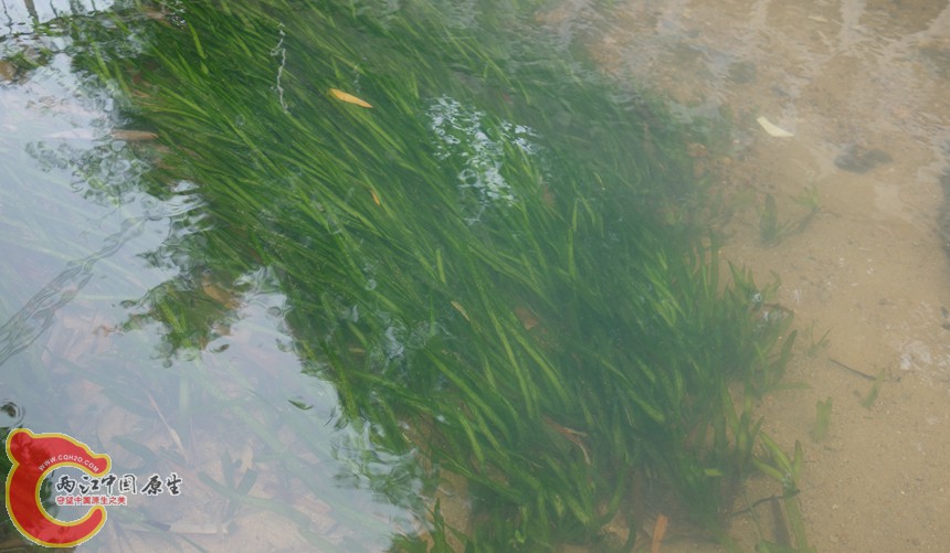 DSC00572_副本_副本_副本_副本_副本.jpg