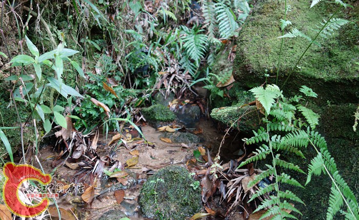 DSC00549_副本_副本.jpg