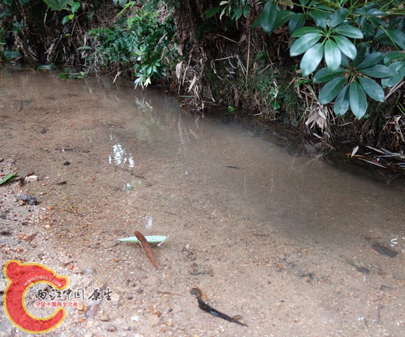 DSC00558_副本_副本_副本_副本.jpg