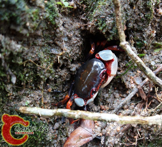 DSC00550_副本_副本_副本.jpg