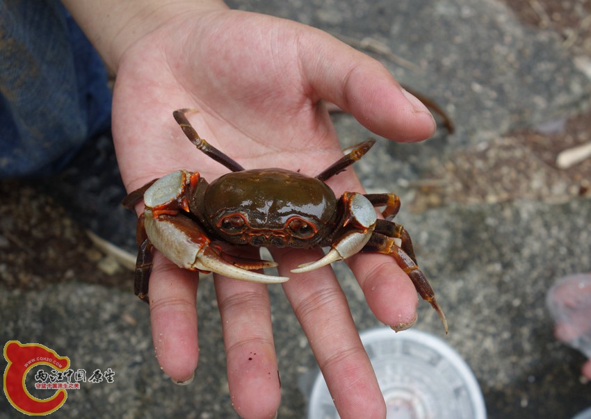 DSC00565_副本_副本.jpg