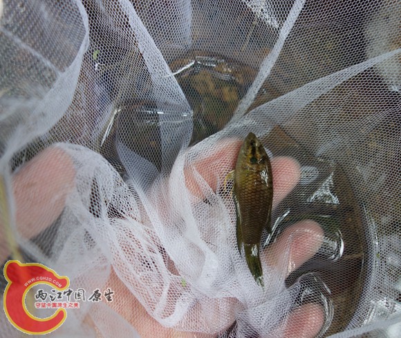 DSC00531_副本_副本_副本_副本.jpg