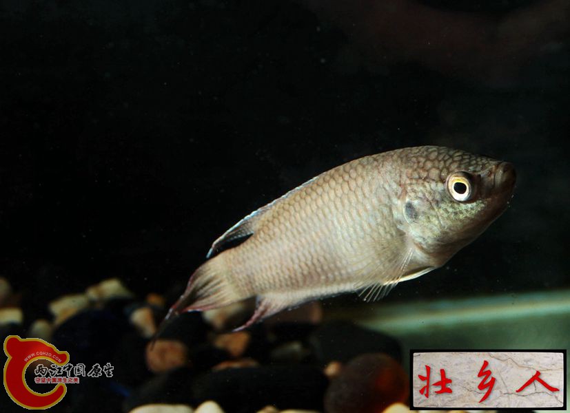 图片IMG_1920_副本.jpg