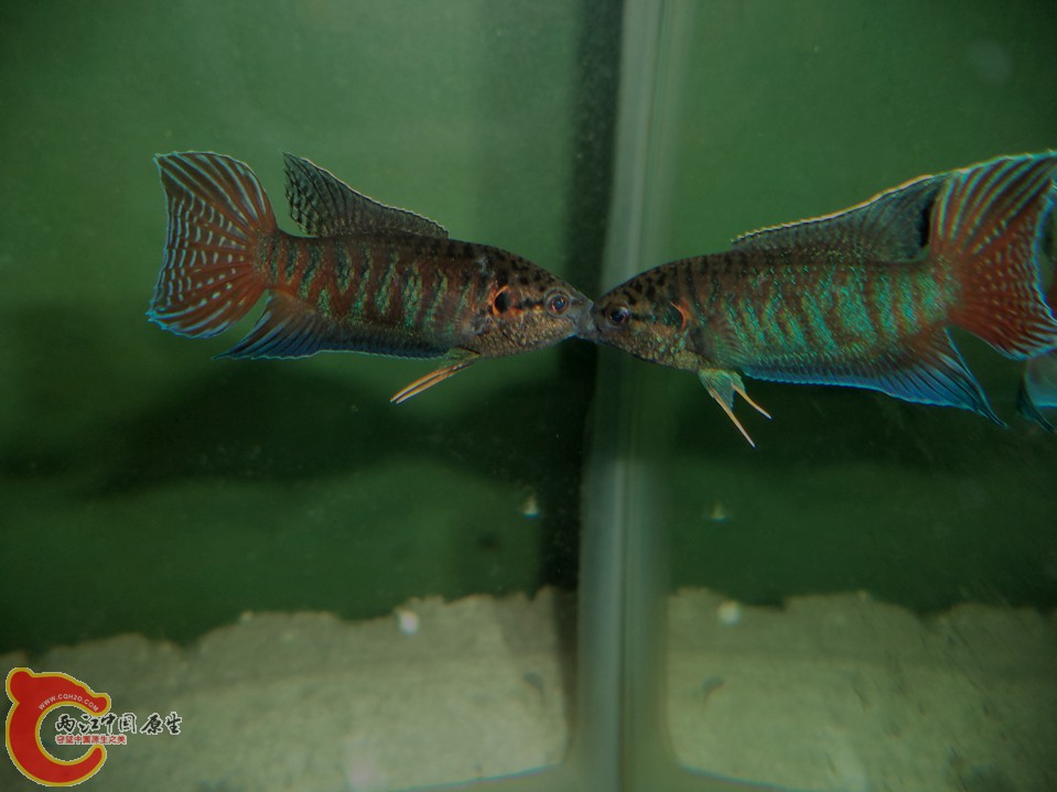 DSC04872.JPG