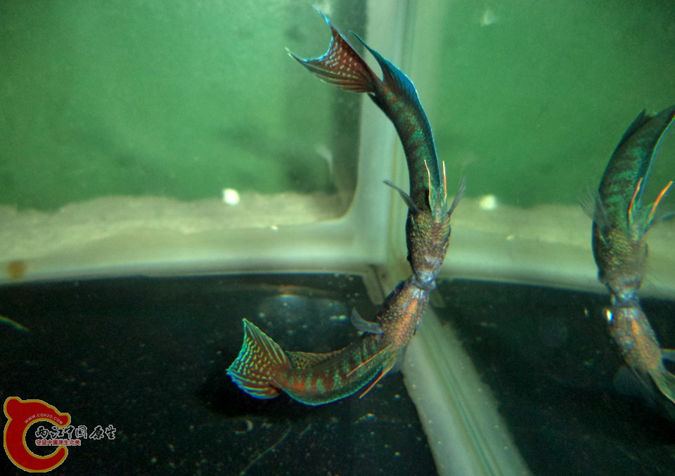 DSC04874.JPG
