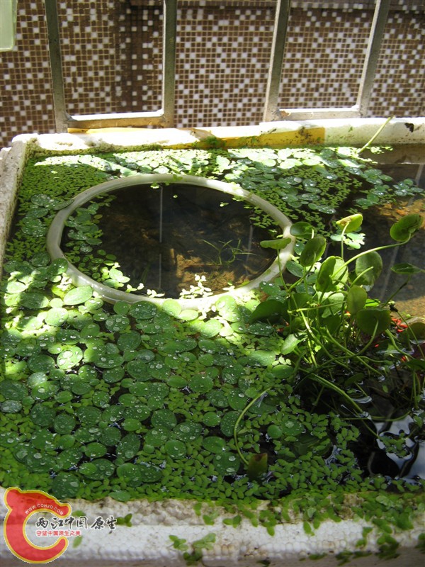 psb (19).jpg