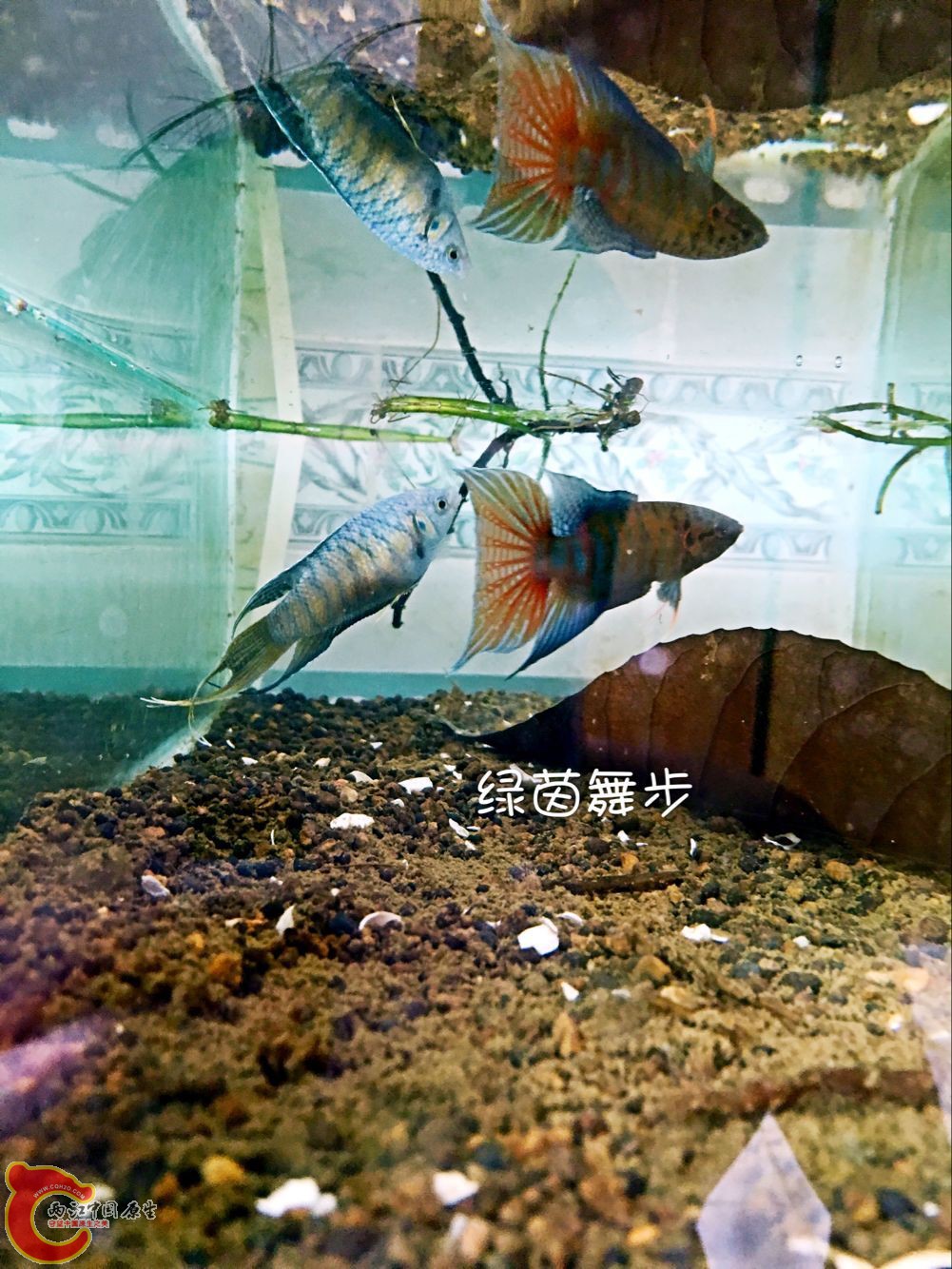QQ图片20160531165836.jpg