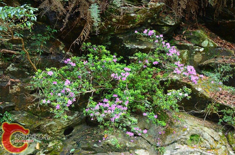 DSC_1967.JPG