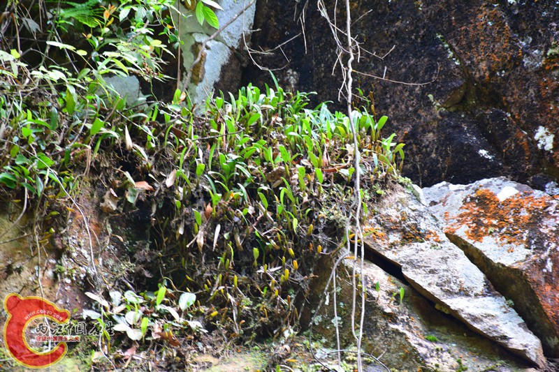 DSC_2008.JPG