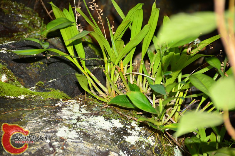 DSC_2053.JPG