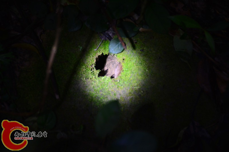 DSC_2061.JPG