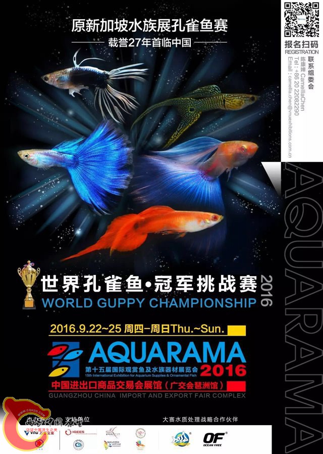 海报.jpg