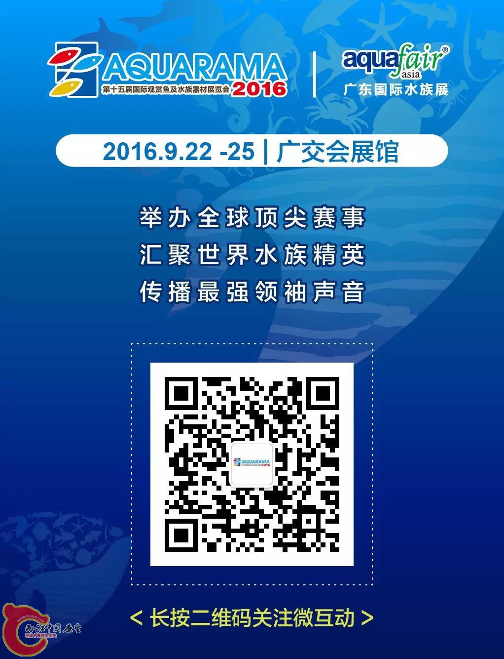 wechat.jpg