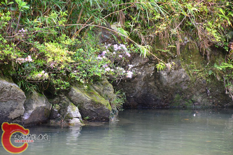 DSC_1848.JPG
