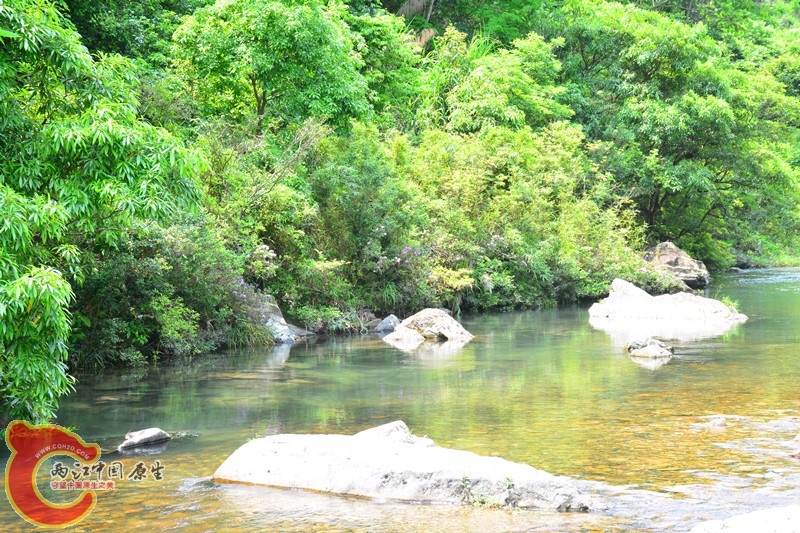 DSC_1890.JPG