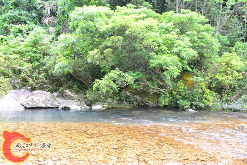 DSC_1906.JPG