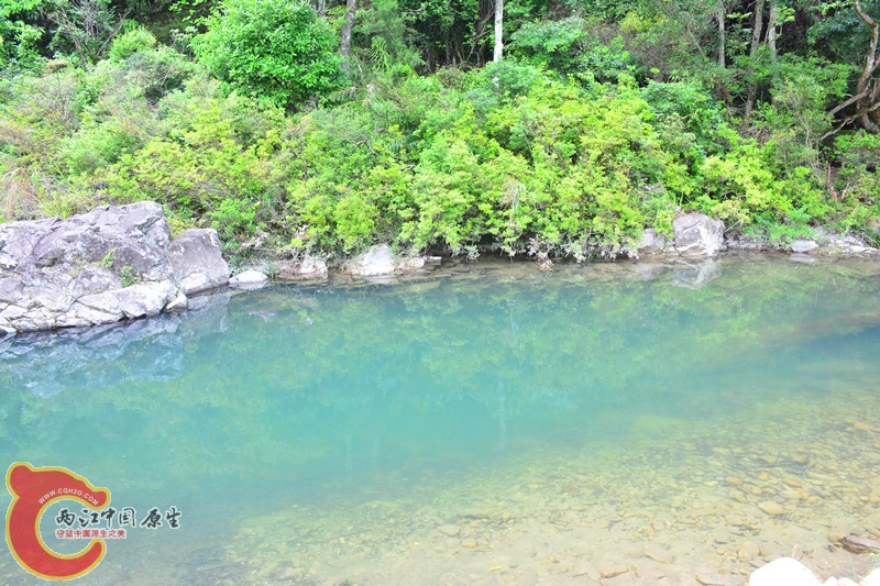 DSC_1910.JPG