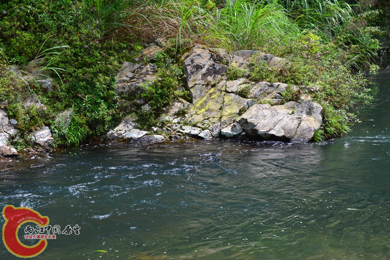 DSC_1917.JPG