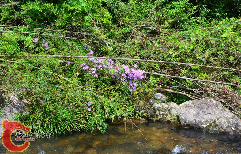 DSC_1929.JPG