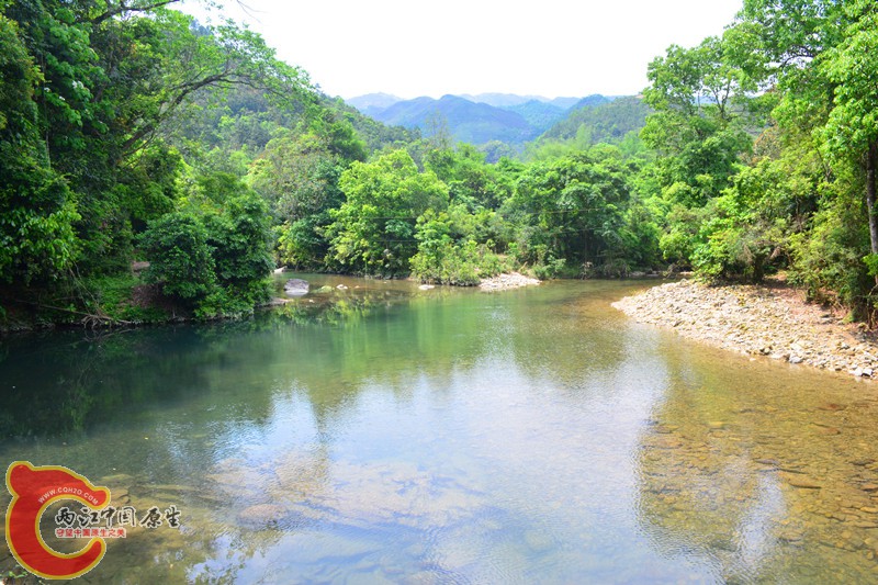 DSC_1934.JPG