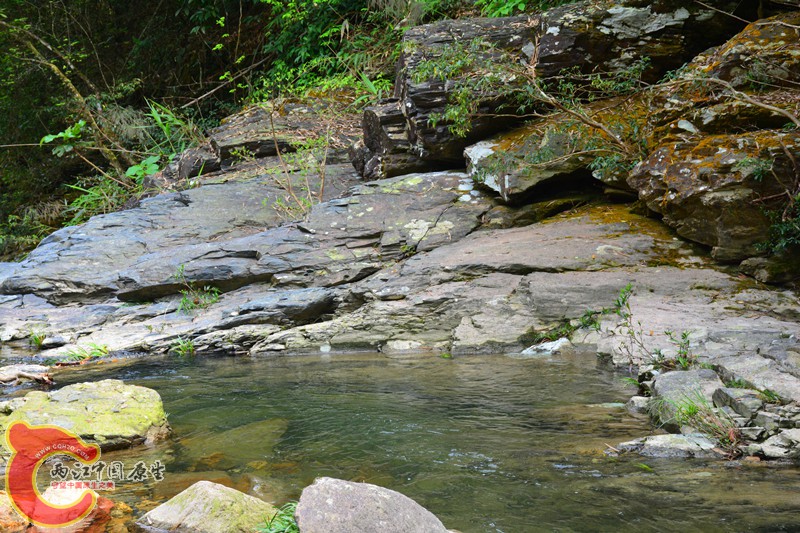 DSC_1987.JPG