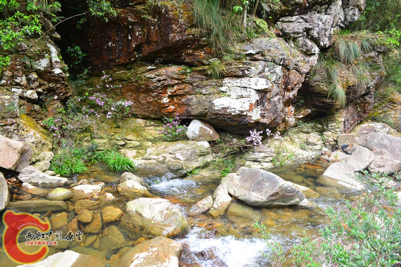 DSC_1992.JPG