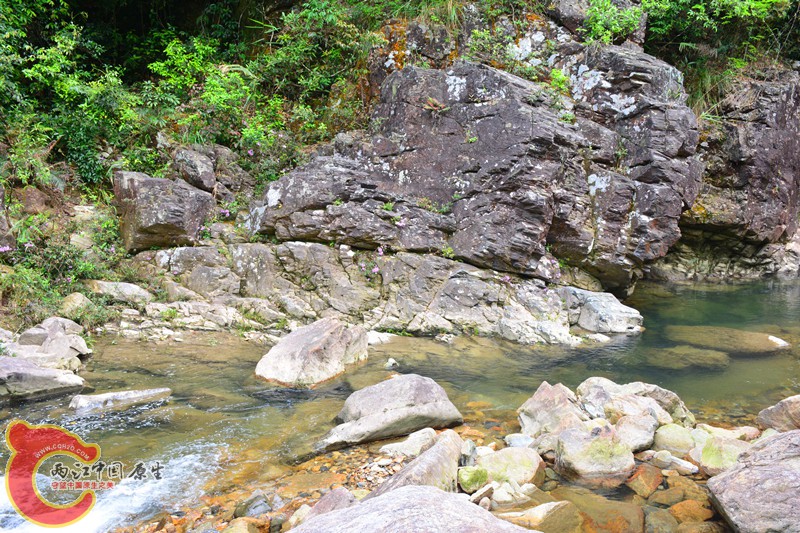 DSC_1993.JPG